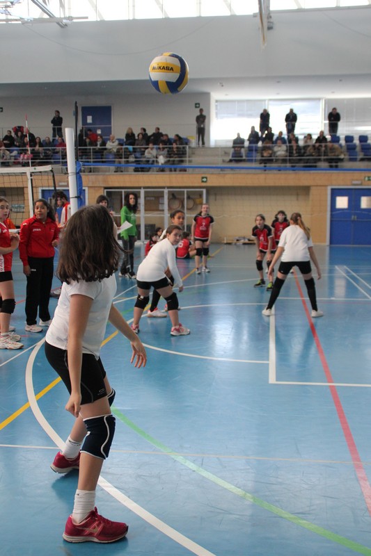 M&aacute;s de 20 equipos en la Segunda Concentraci&oacute;n de &quot;Mini Voley&quot;